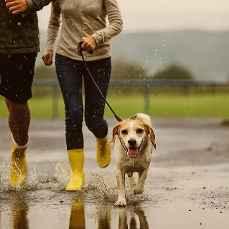 Bps #3 Flair Appartamento Horb am Neckar