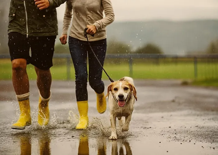 Bps #3 Flair Lägenhet Horb am Neckar